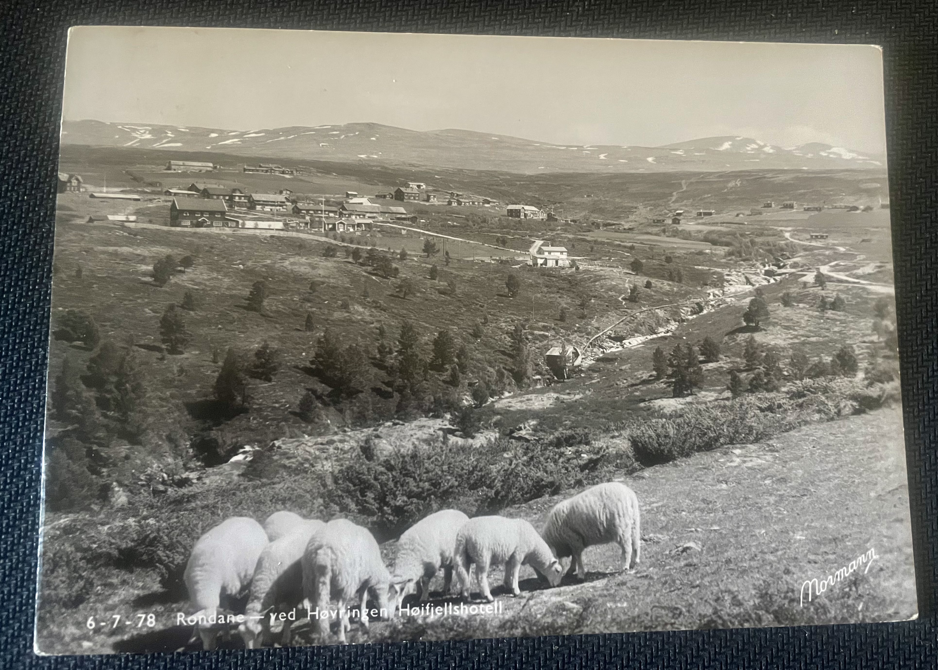 HØVINGEN HØYFJELLSHOTELL - RONDAN ( 83 )