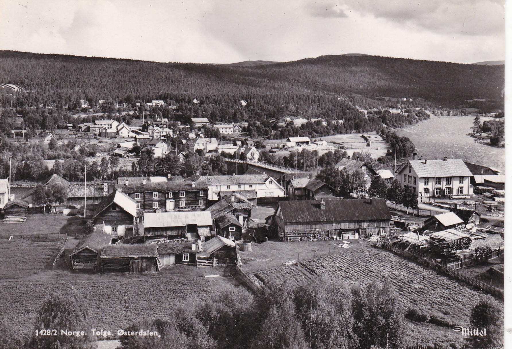 Tolga, Østerdalen ( Mittet 1428/2)