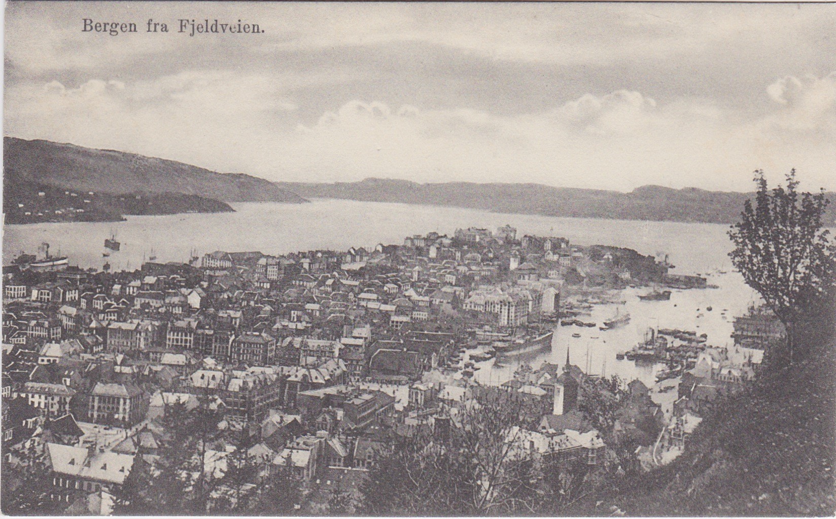 Bergen fra Fjellveien 1909 Ubrukt -Ener Hulda Bentzens forlag