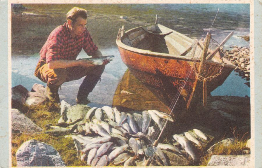 Sommer. "Fra en vellykket fisketur"