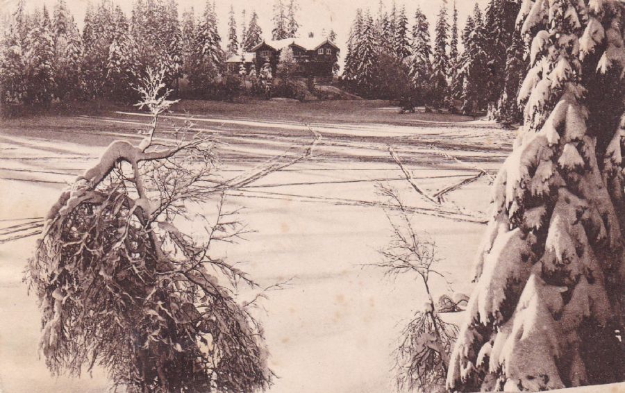 Vinter. Mittet & Co Kristiania 1919 No. 39
