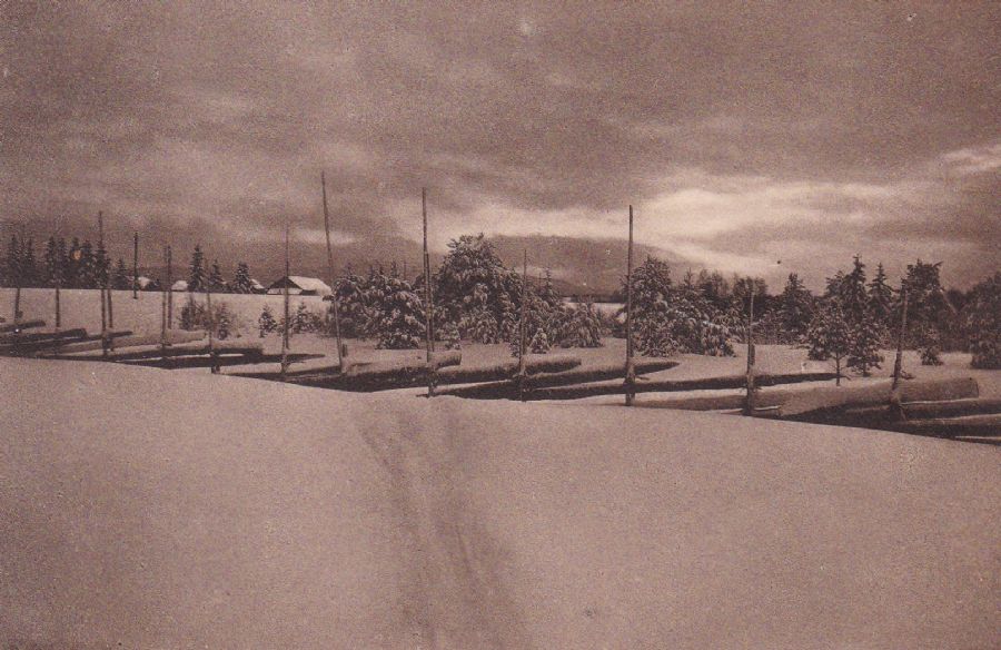 Vinter. H. Abel "Stemninger 6" 1913.