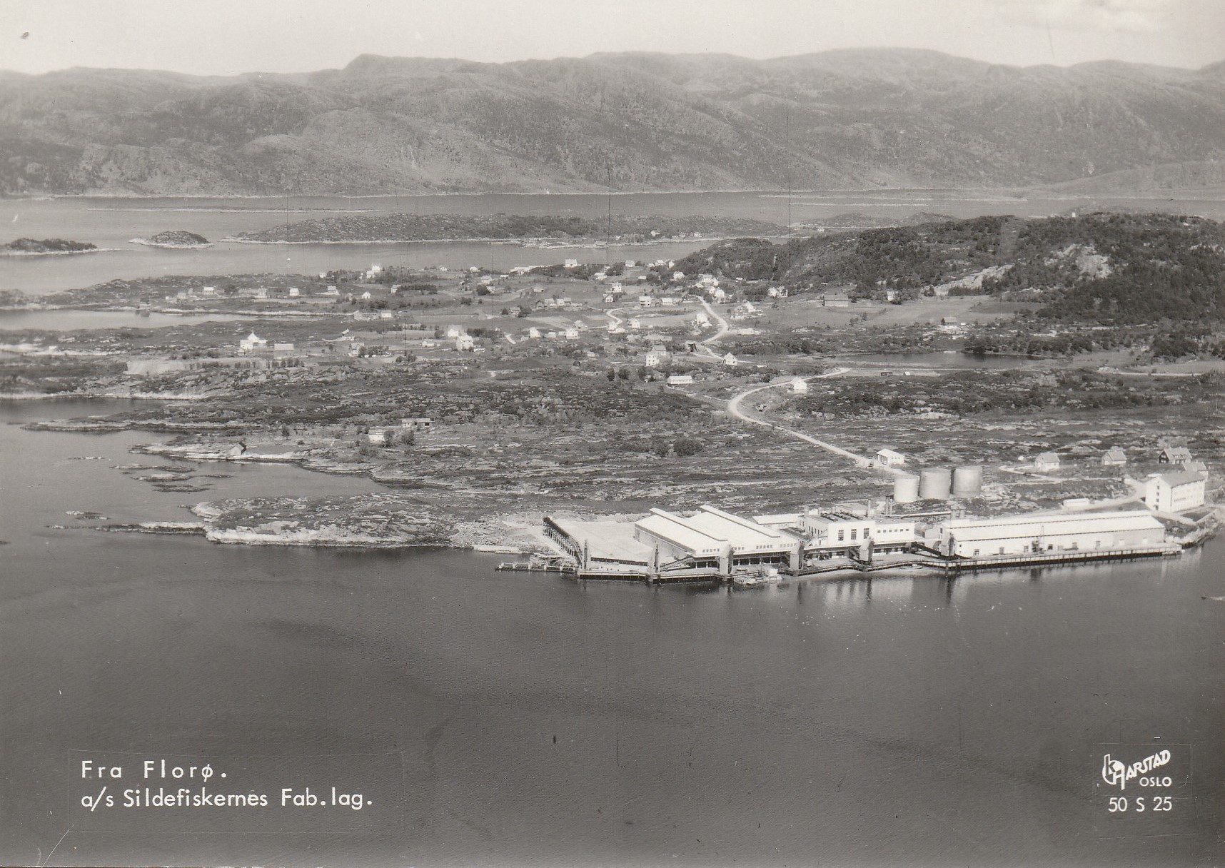 Fra Florø. a/s Sildefiskernes Fab.lag.   Harstad 50 S 25