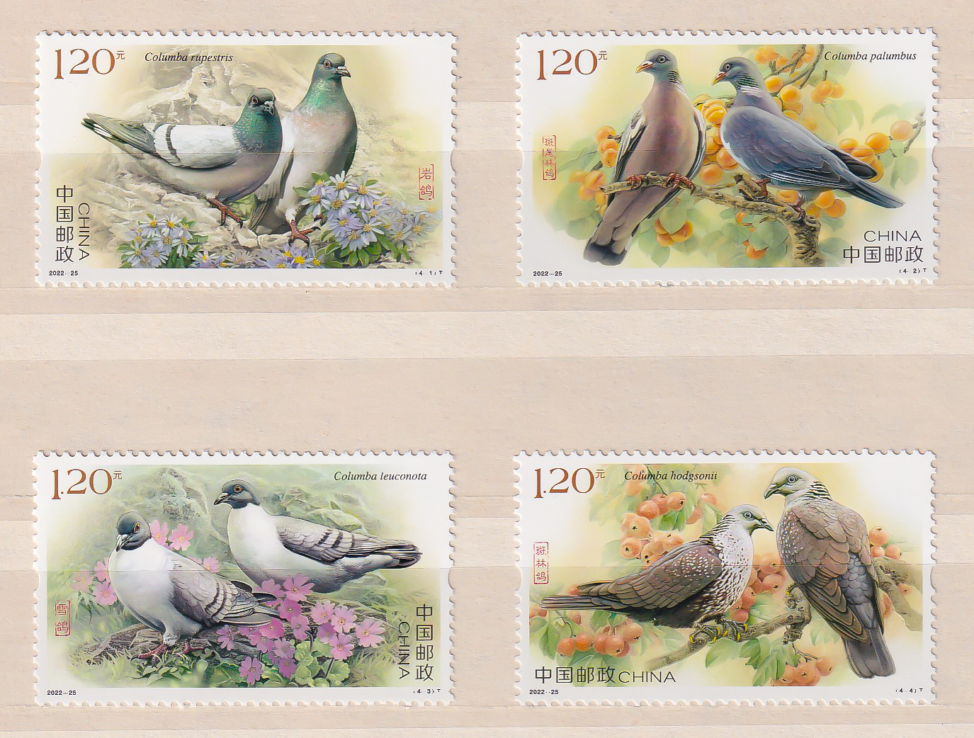 ##CHINA 2022 P.fr. Sett - PIGEONS##