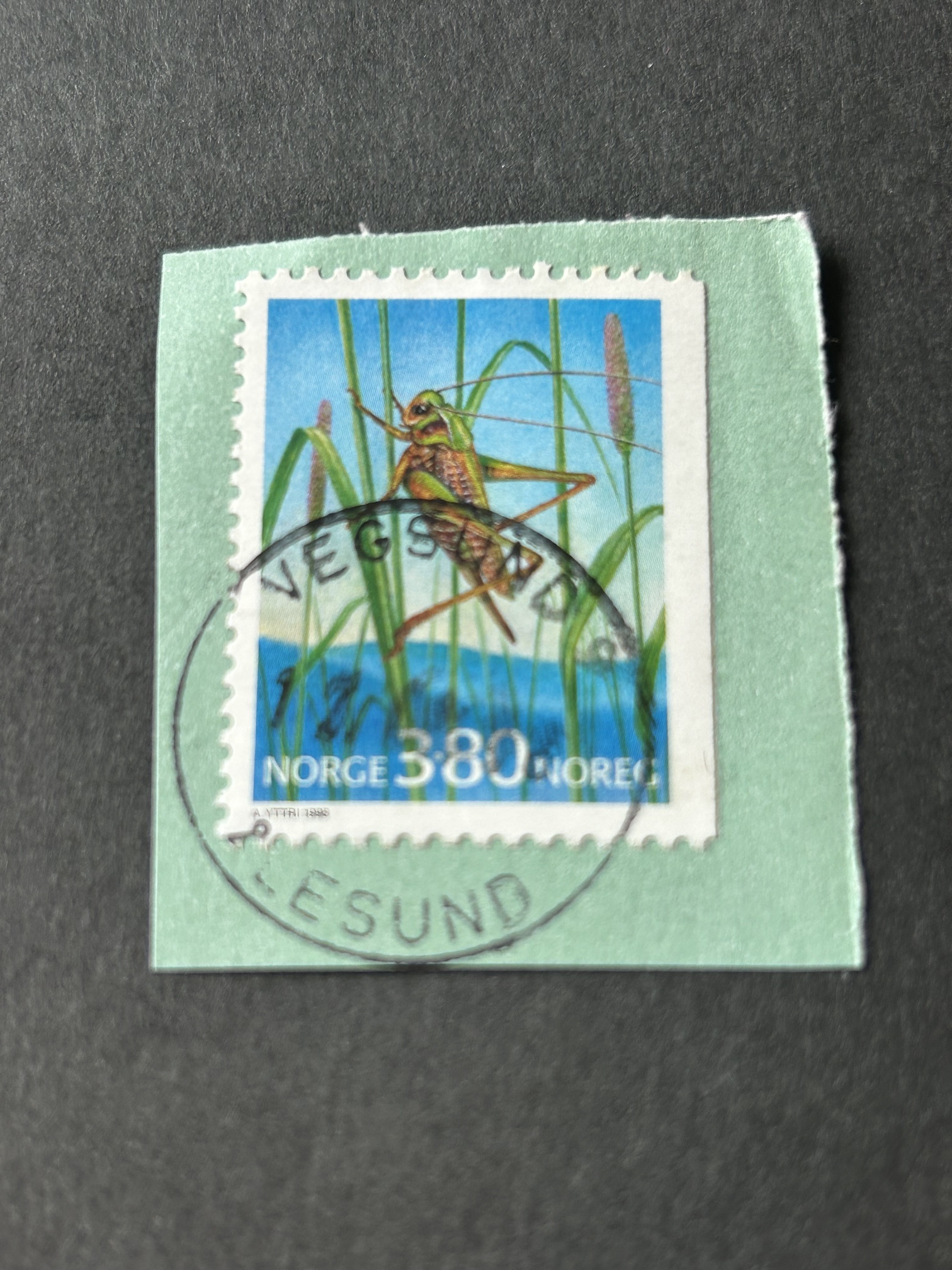 Prakt/Lux.  Vegsund. 12. ?  ?
