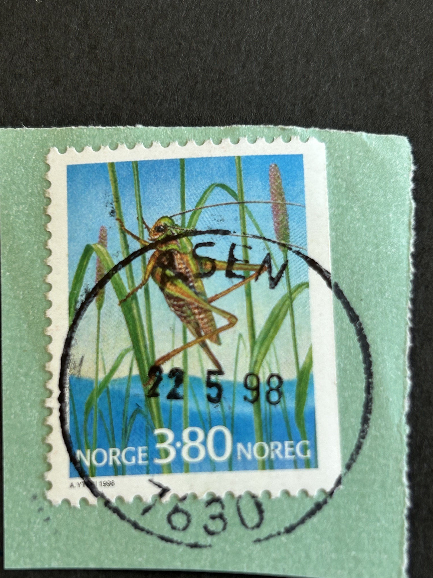 Prakt /Lux. Åsen. 12 5 98