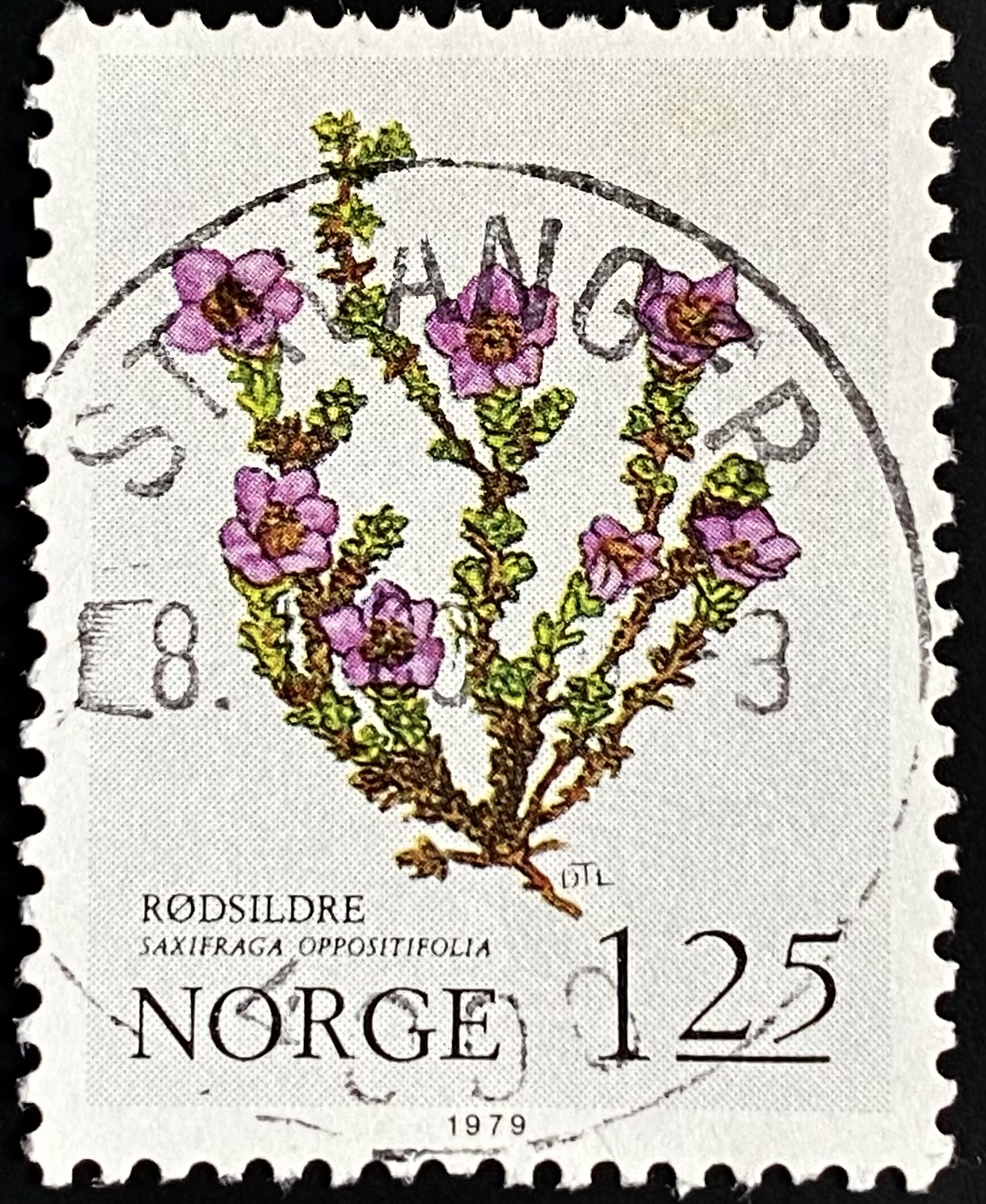 NK 856 Stavanger