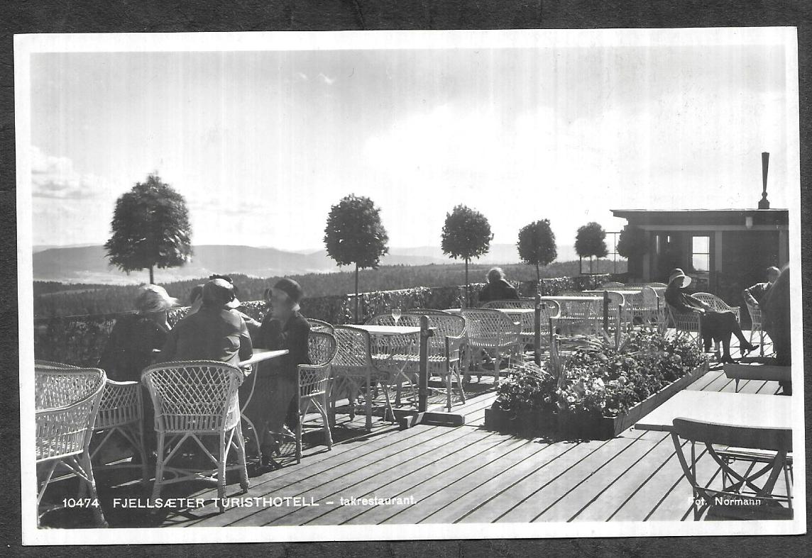 FJELLSÆTER TURISTHOTELL - takrestaurant - [4846]