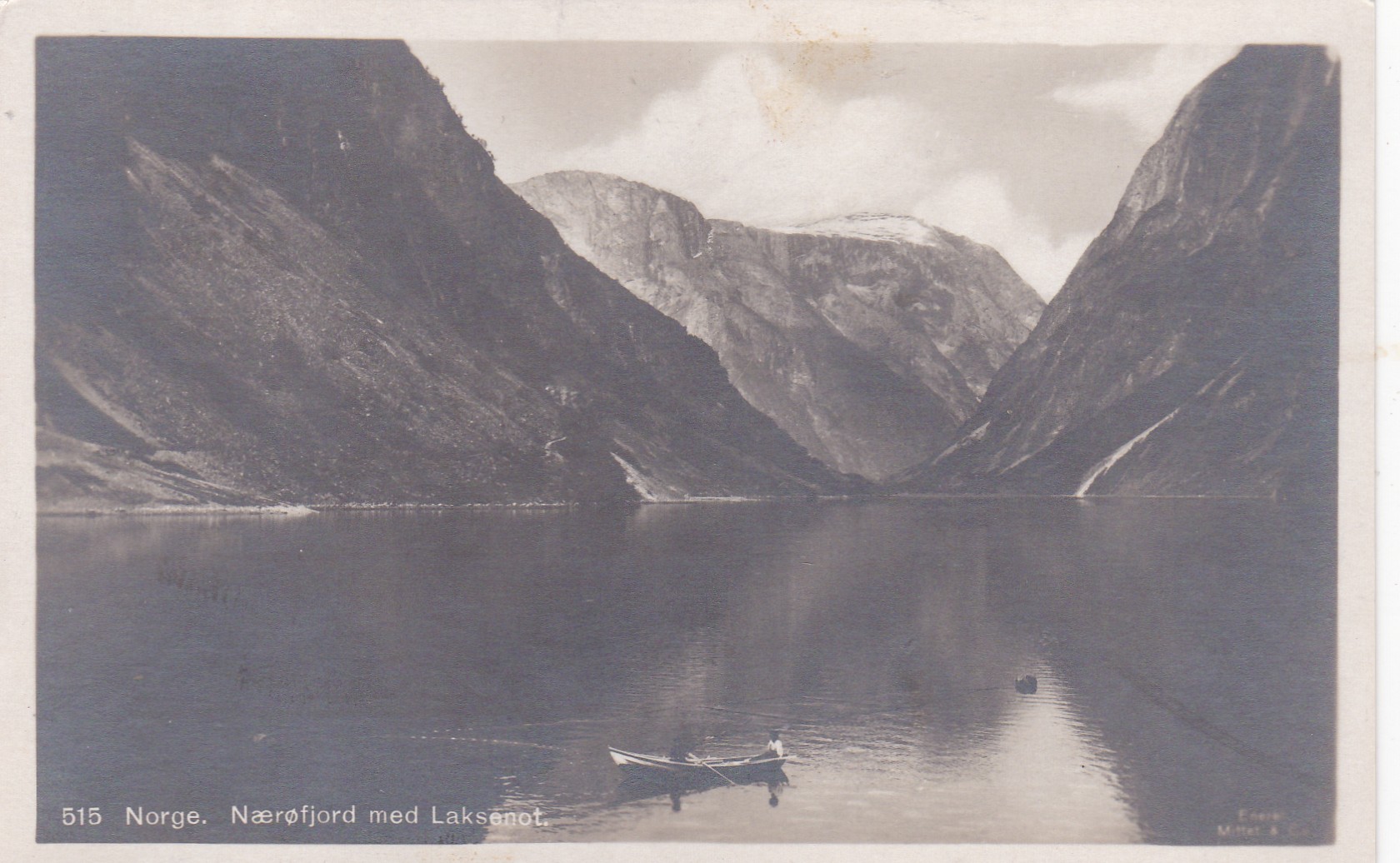 Nærøfjord med Laksenot ( Eneret Mittet & Co 515)