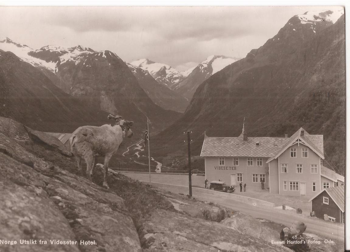 Postkort - Vidseter hotel .