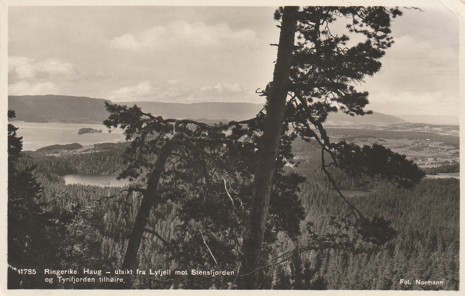 Eldre kort : Haug - utsikt fra Lyfjell mot Steinsfjorden og Tyrifjorden til høire.  Normann 11785 Pstg Småf