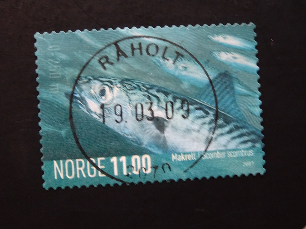 Råholt