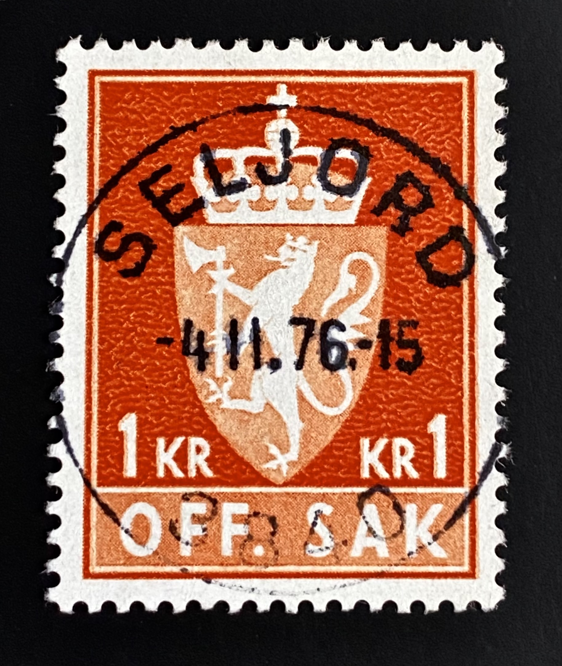 T113 Seljord