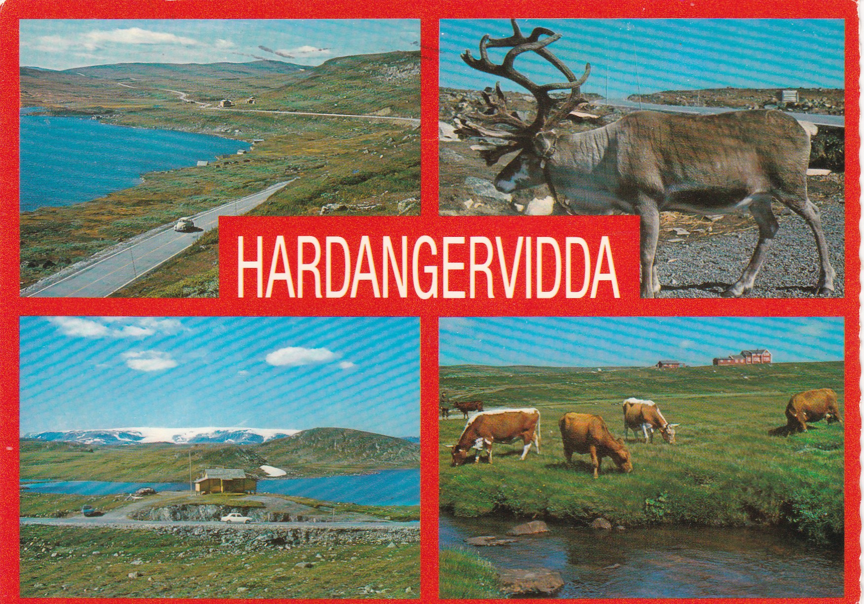Hardangervidda, 4-bilders ( N. Løyning