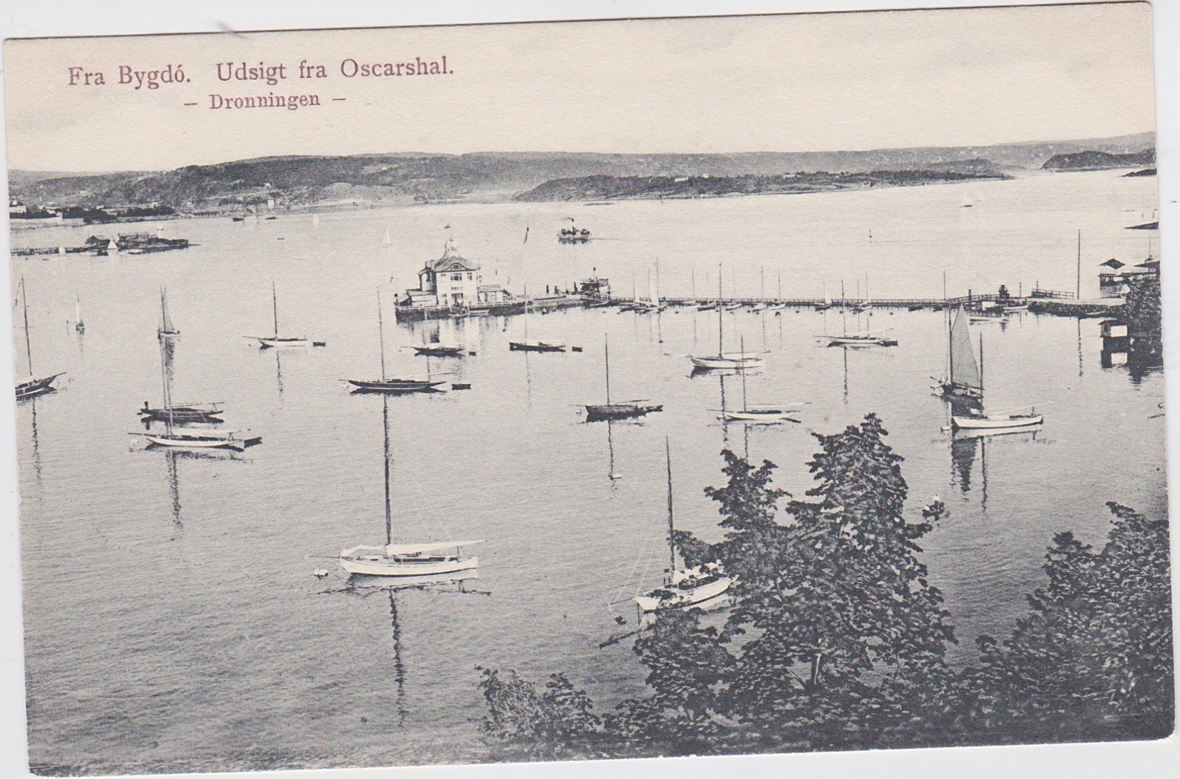 Fra Bygdø-Utsikt fra Oscarshall mot Dronningen og seilbåter på svai 1905-Ubrukt-Abel