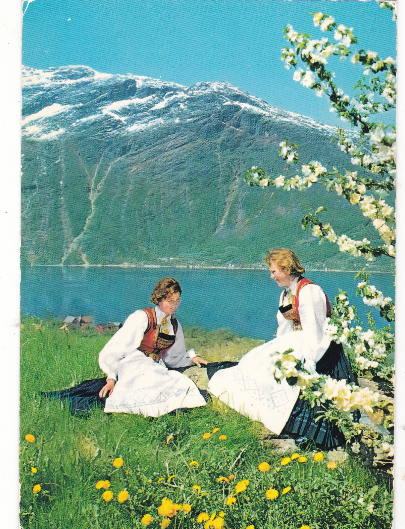Hardanger i mai ( Normann 210-9)