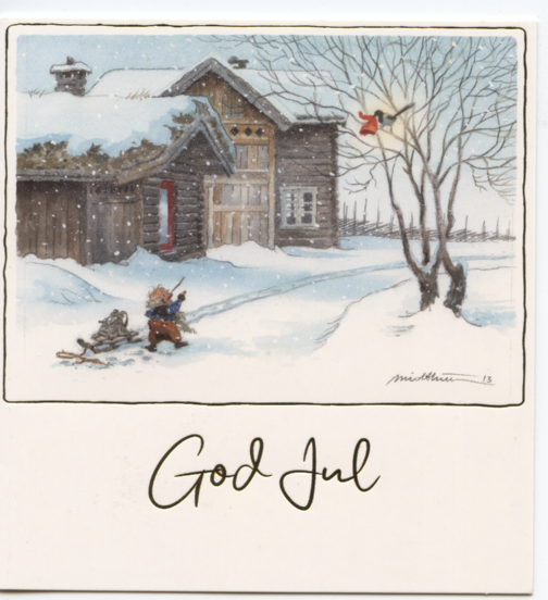 K.E.Midthun. Fuglen med nissehuen. Unicef.dk