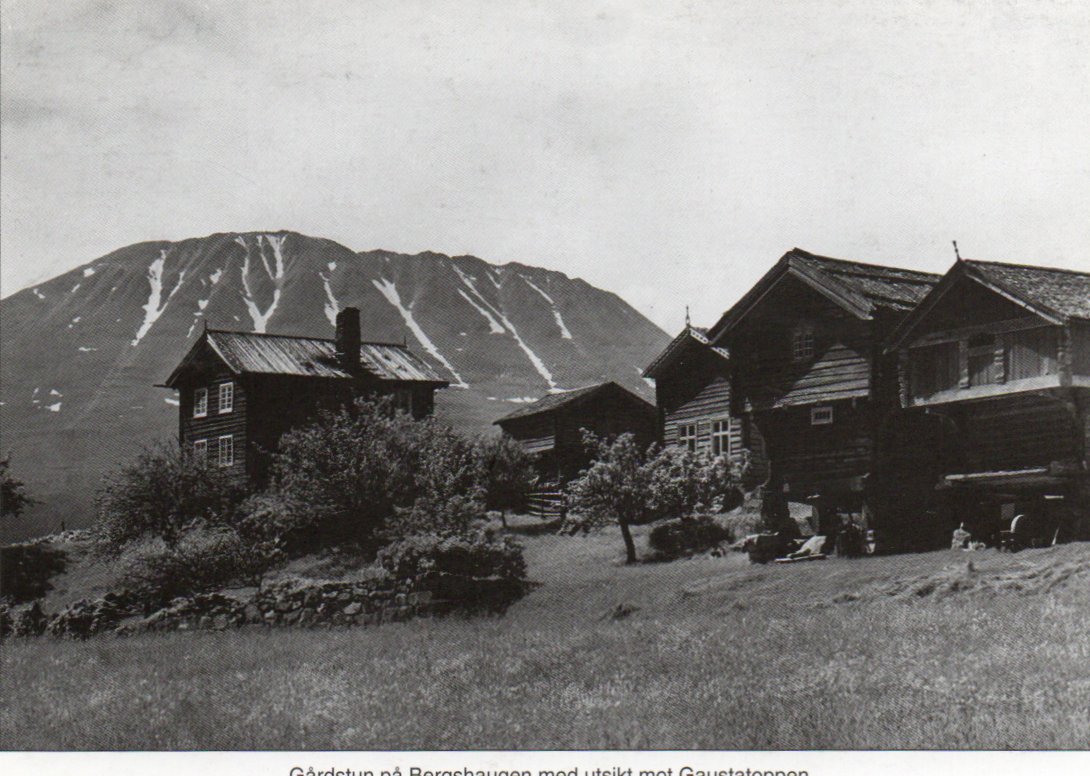 Gaustatoppen (Rjukan, Tinn) Gårdstun på Bergshaugen.