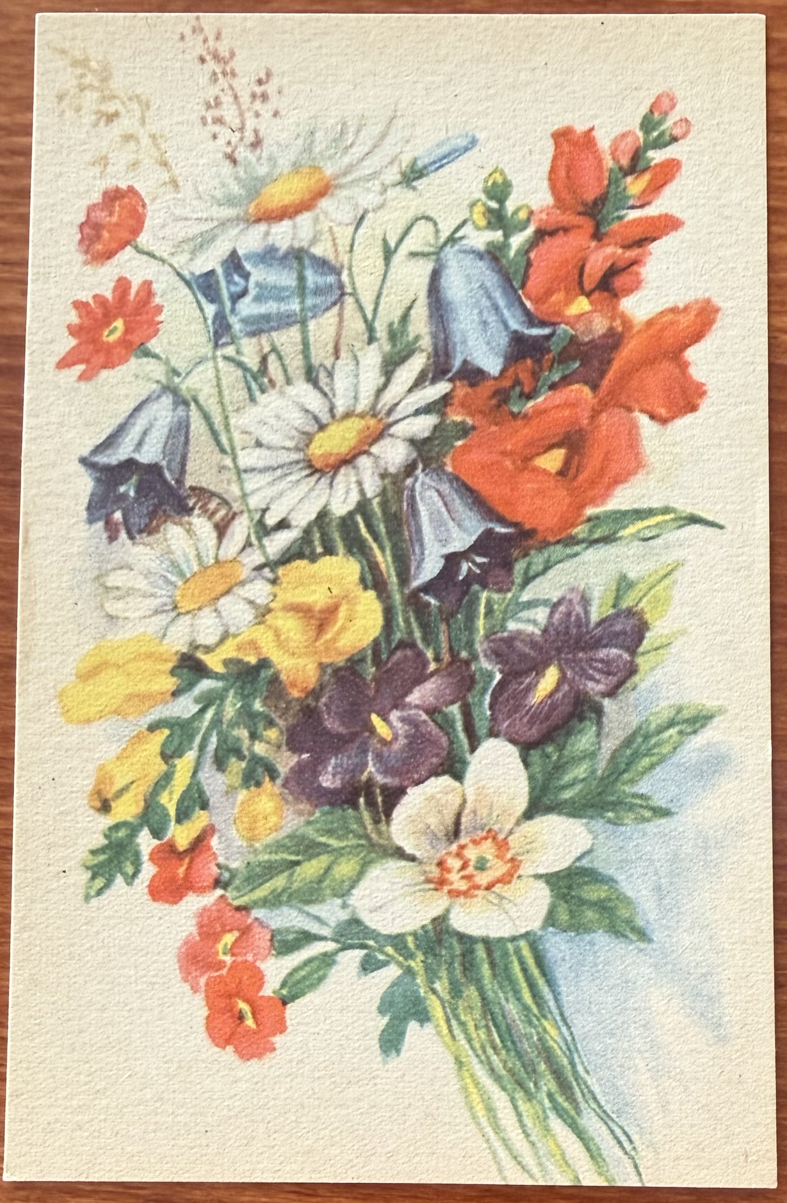 P.Lillo-Stenberg, J.H.K. 505/4