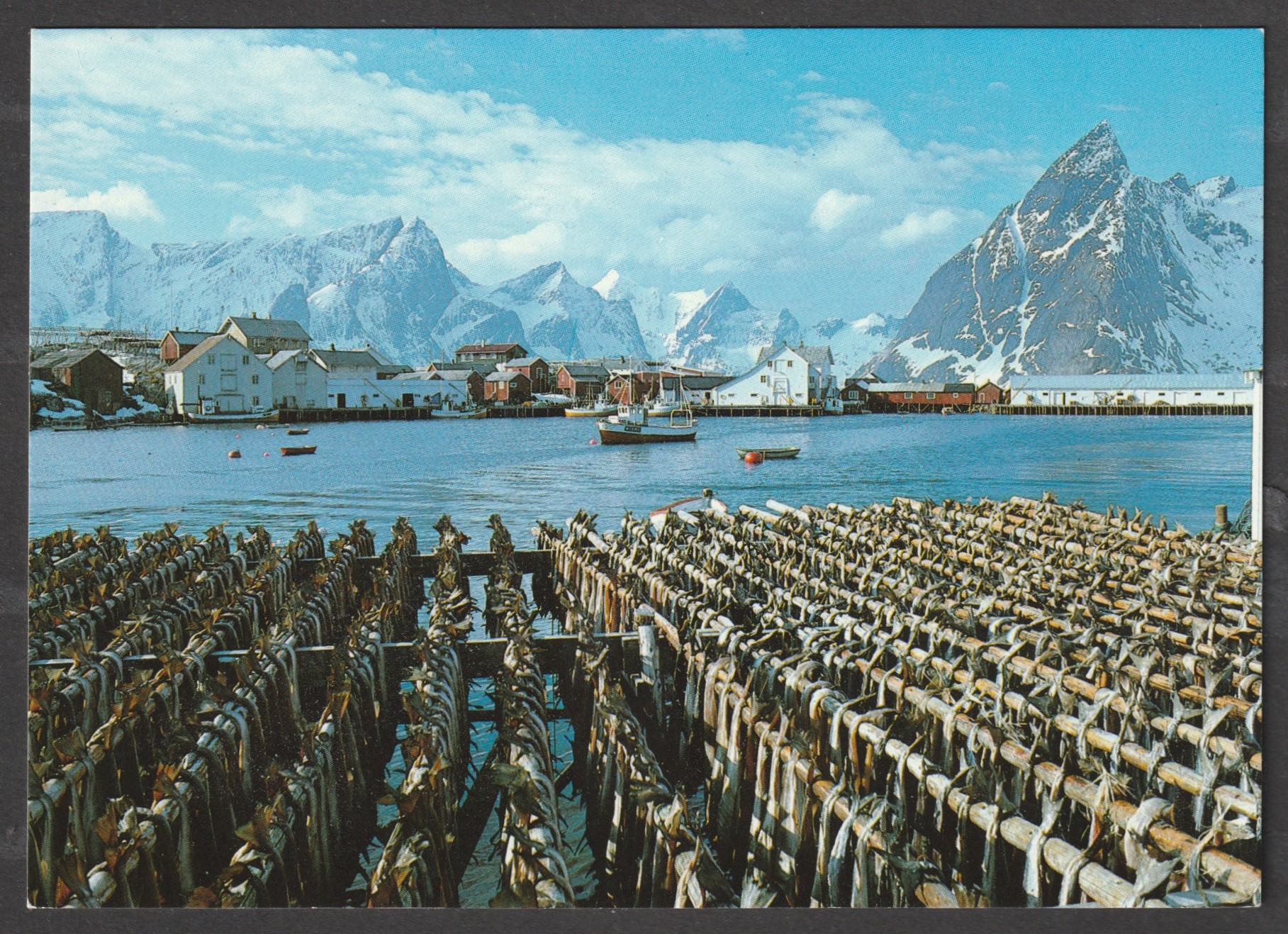 Hamnøy i Lofoten. Lofotfiske. To-Foto 86-23