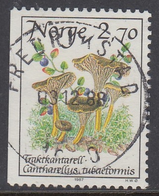 NK1017 Fredrikstad 03.12.88