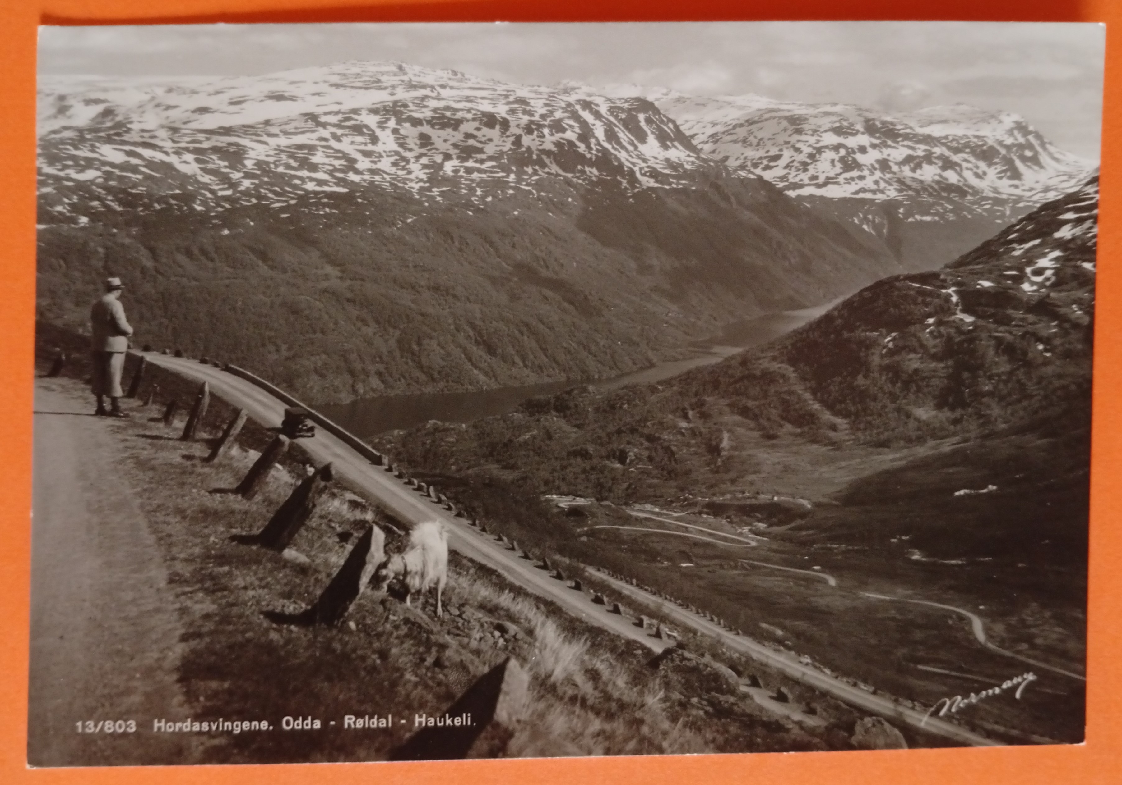 Hordasvingene. Odda - Røldal - Haukeli