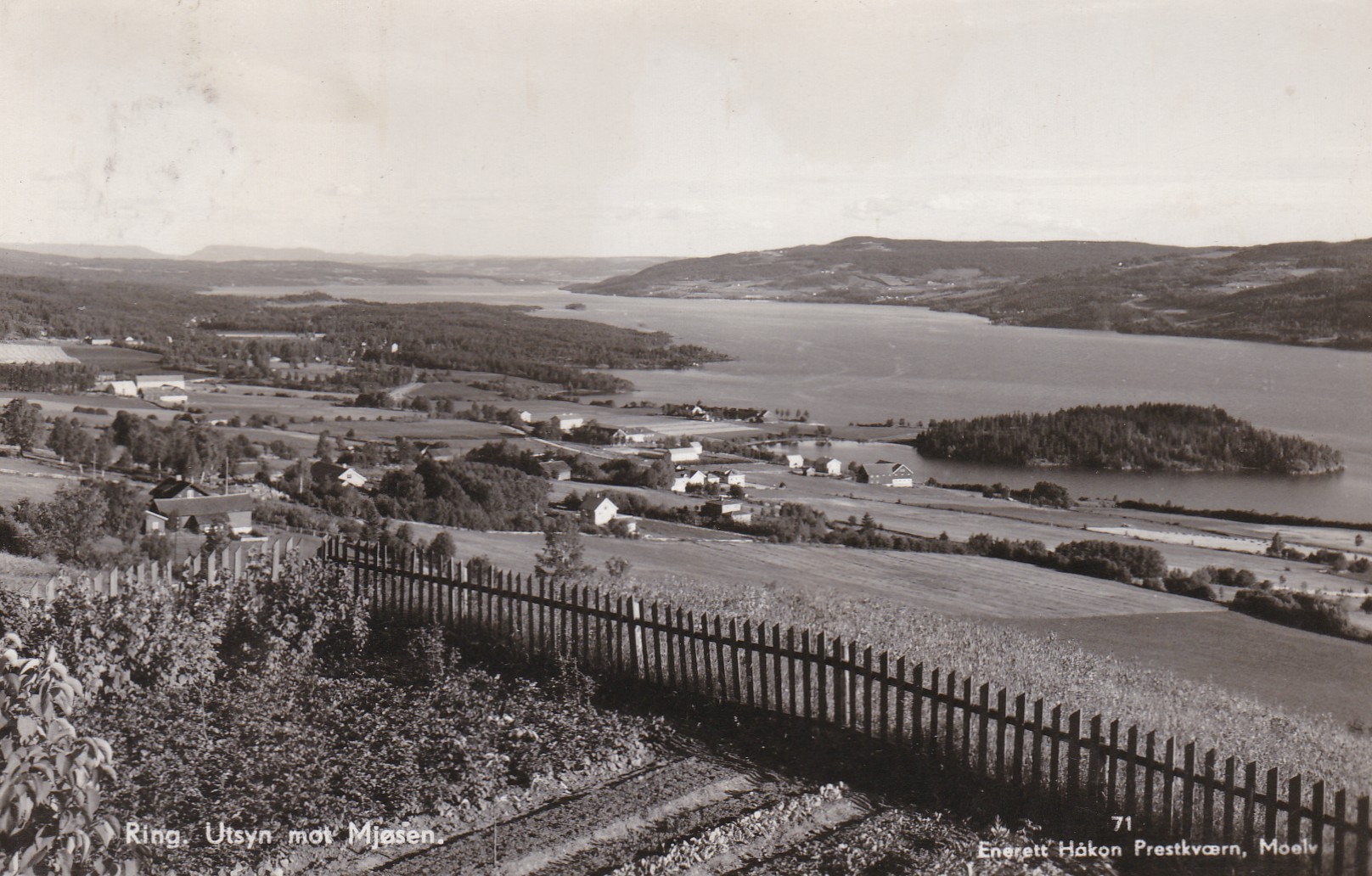 Ring. Utsyn mot Mjøsen ( Håkon Prestkværn 71)