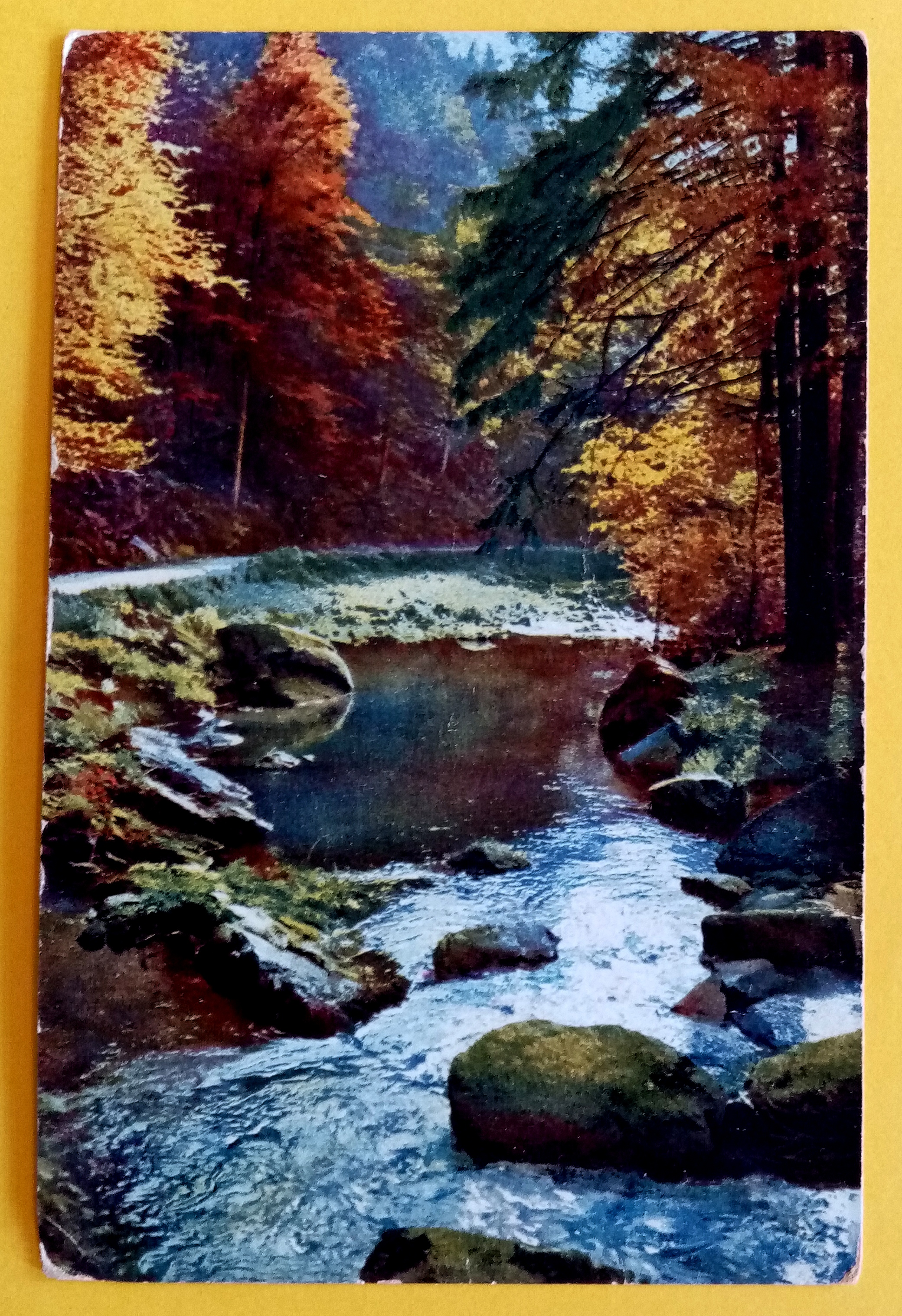 Elv og natur.