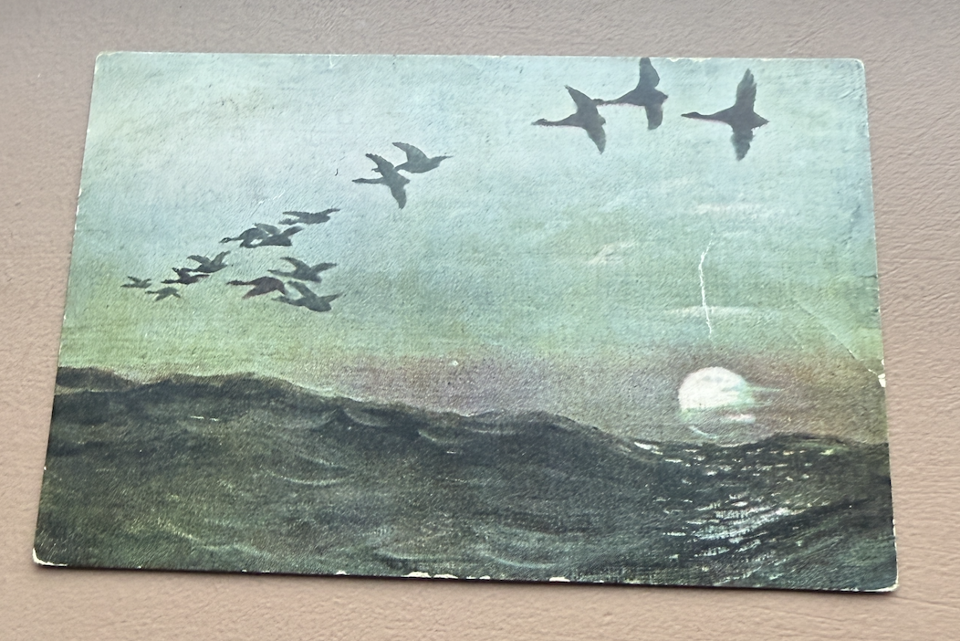 Thorolf Holmboe (JFE 08/05)