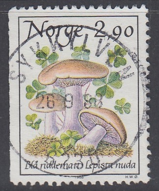 NK1038 Sykkylven 26.09.88 PRAKT