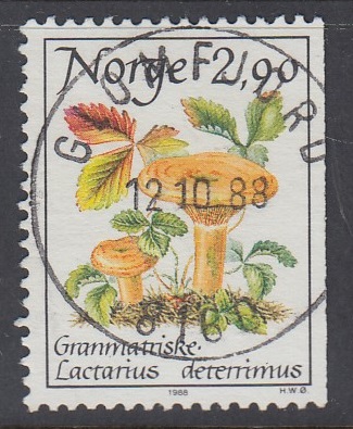 NK1039 Glomfjord 12.10.88 PRAKT