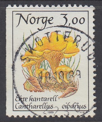 NK1061 Skotterud 10.10.89