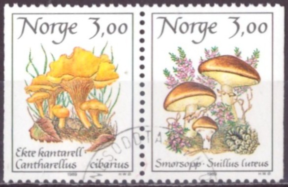 NK 1061/62. PEN RUNDSTEMPLA SERIE.   (15,-)