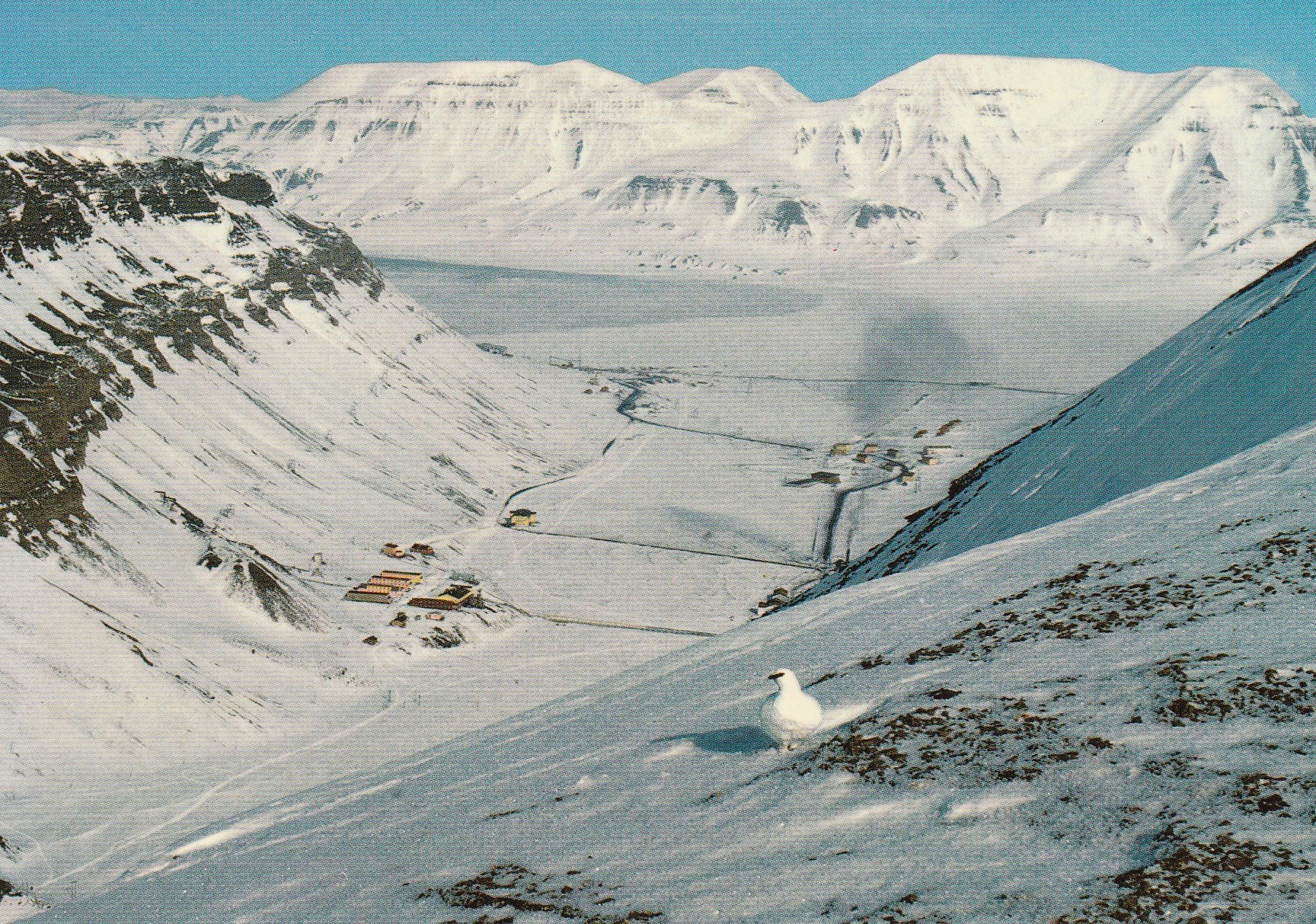 Svalbard- Spitsbergen-Spitzbergen.  Grøndal 34