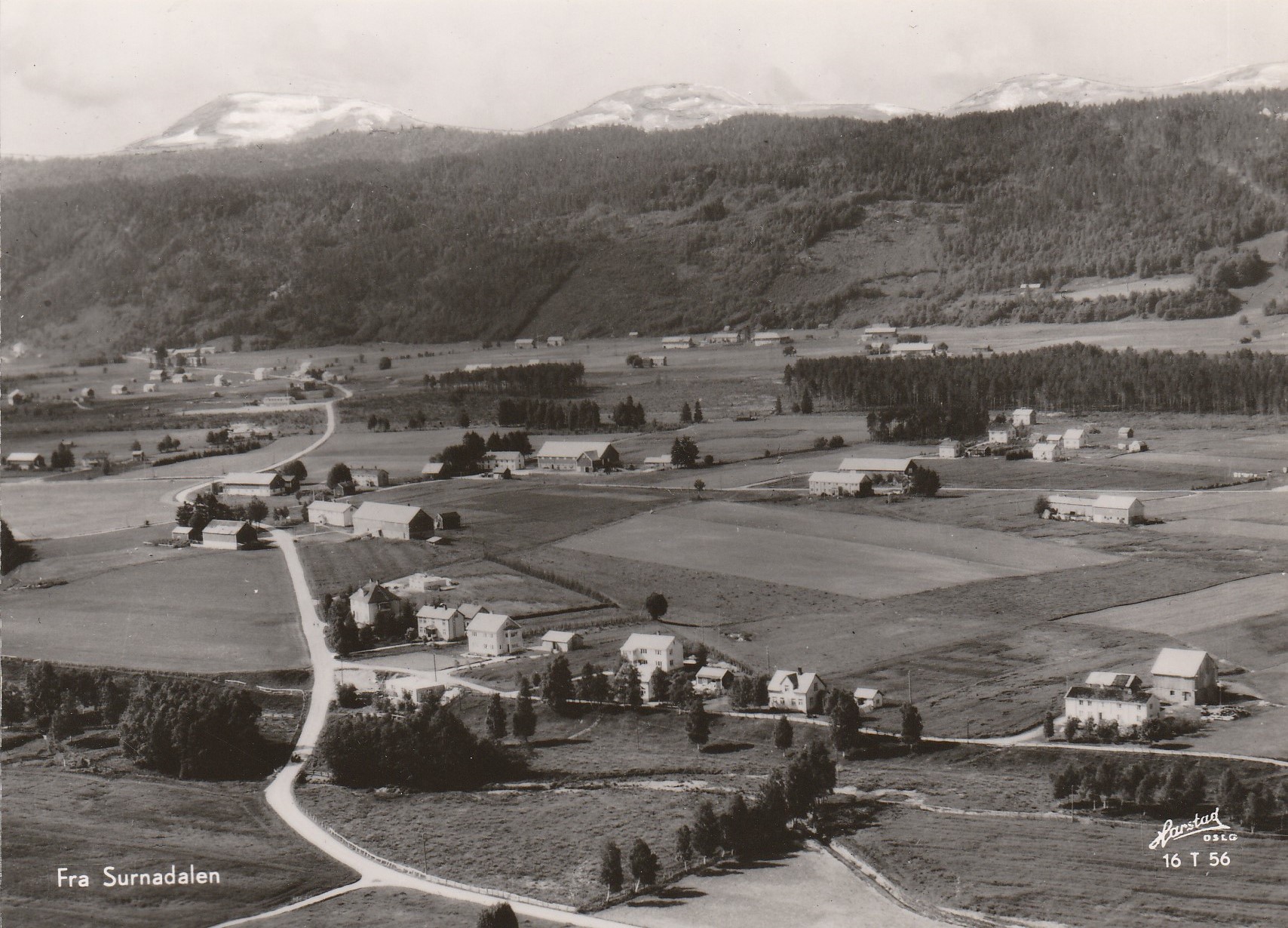 Fra Surnadalen. Harstad 16 T 56