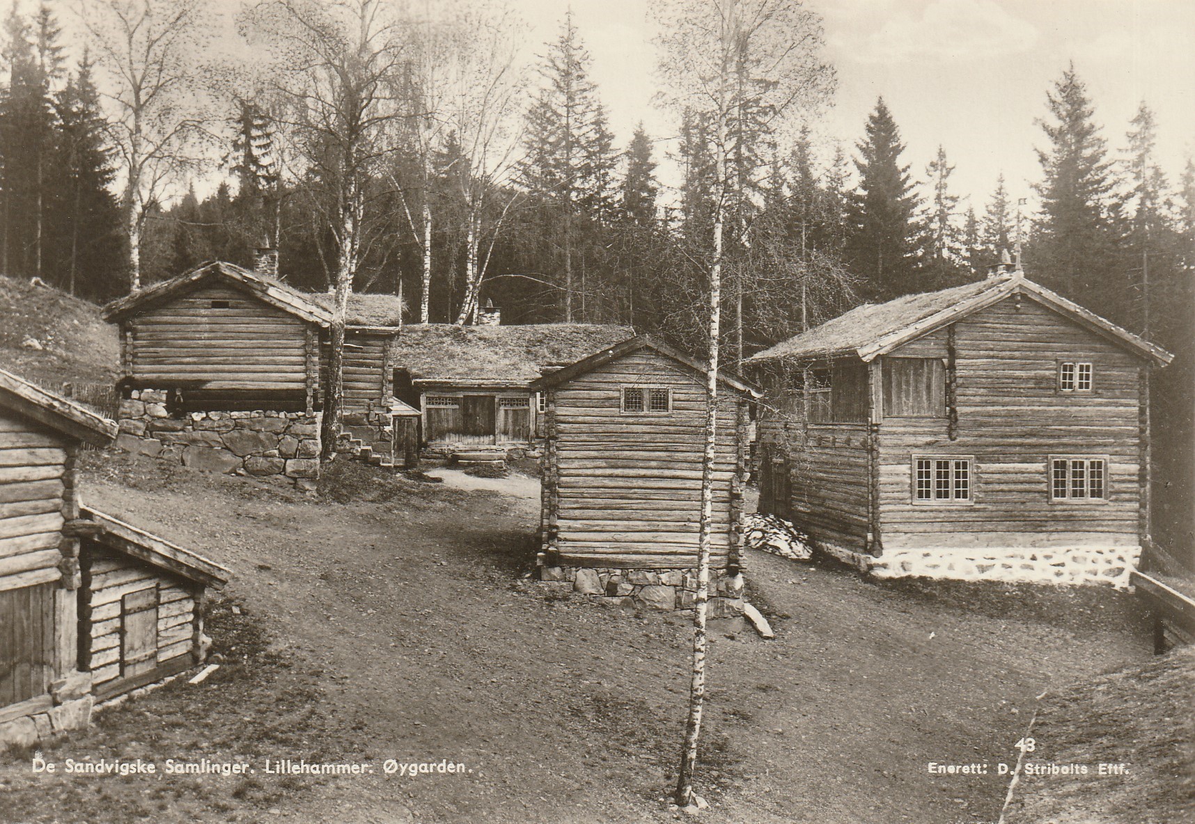 Eldre kort : De Sandvigske Samlinger. Lillehammer. Øygarden. Stribolt 43 / Mittet