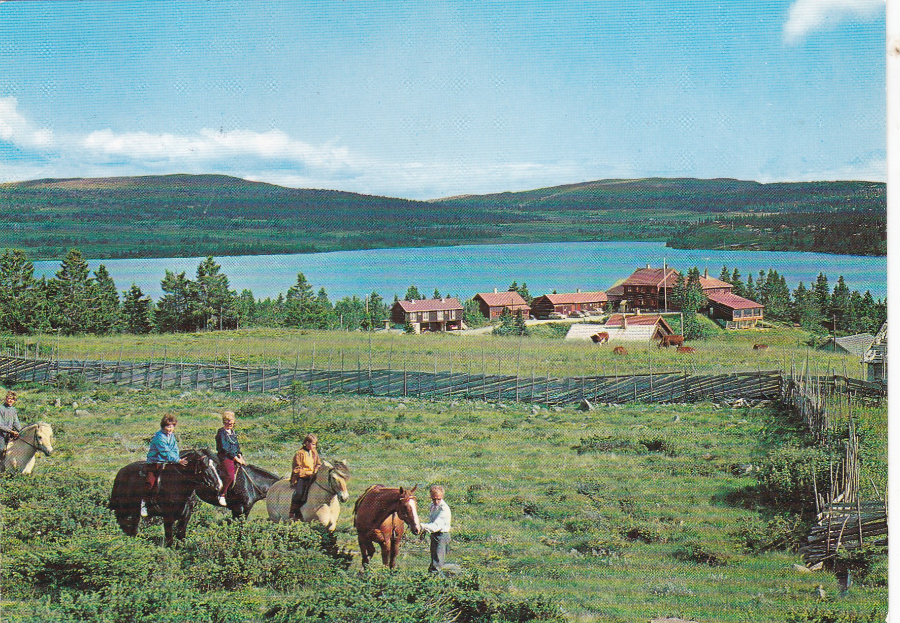 Rustad Turisthytte, Sjusjøen, Hesteriding ( Normann F-1-74)