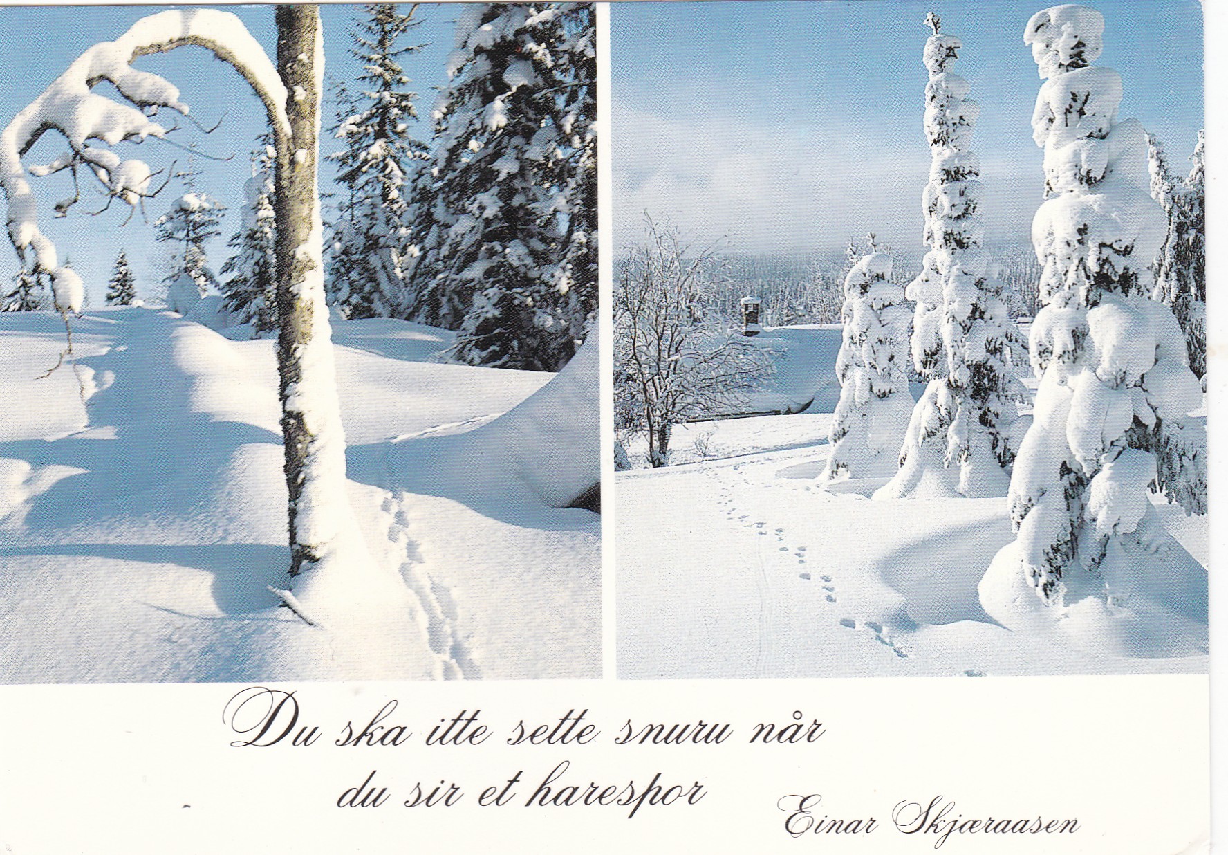 Trysil i vinterdrakt. 2-bilders ( Normann 01-F-18-132)