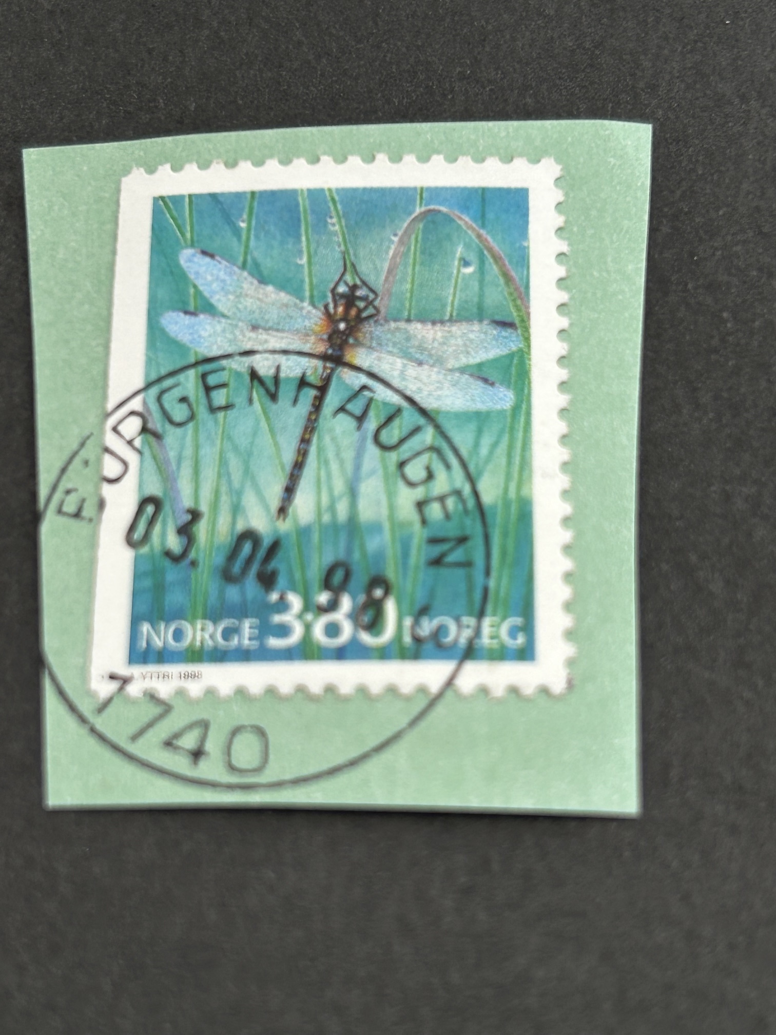 Borgenhaugen. 03 06 98