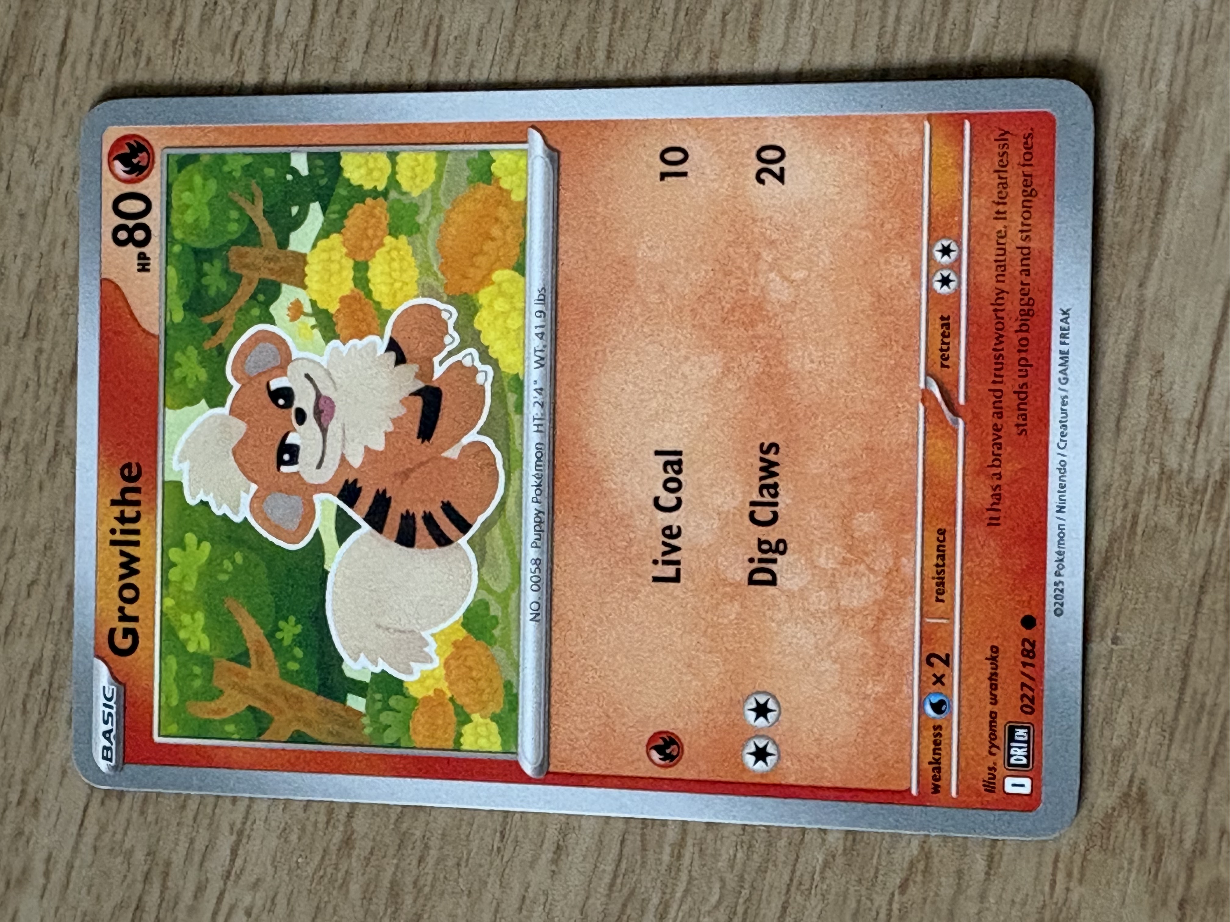 Growlithe - 2025 - HP 80 - 027/182 - V