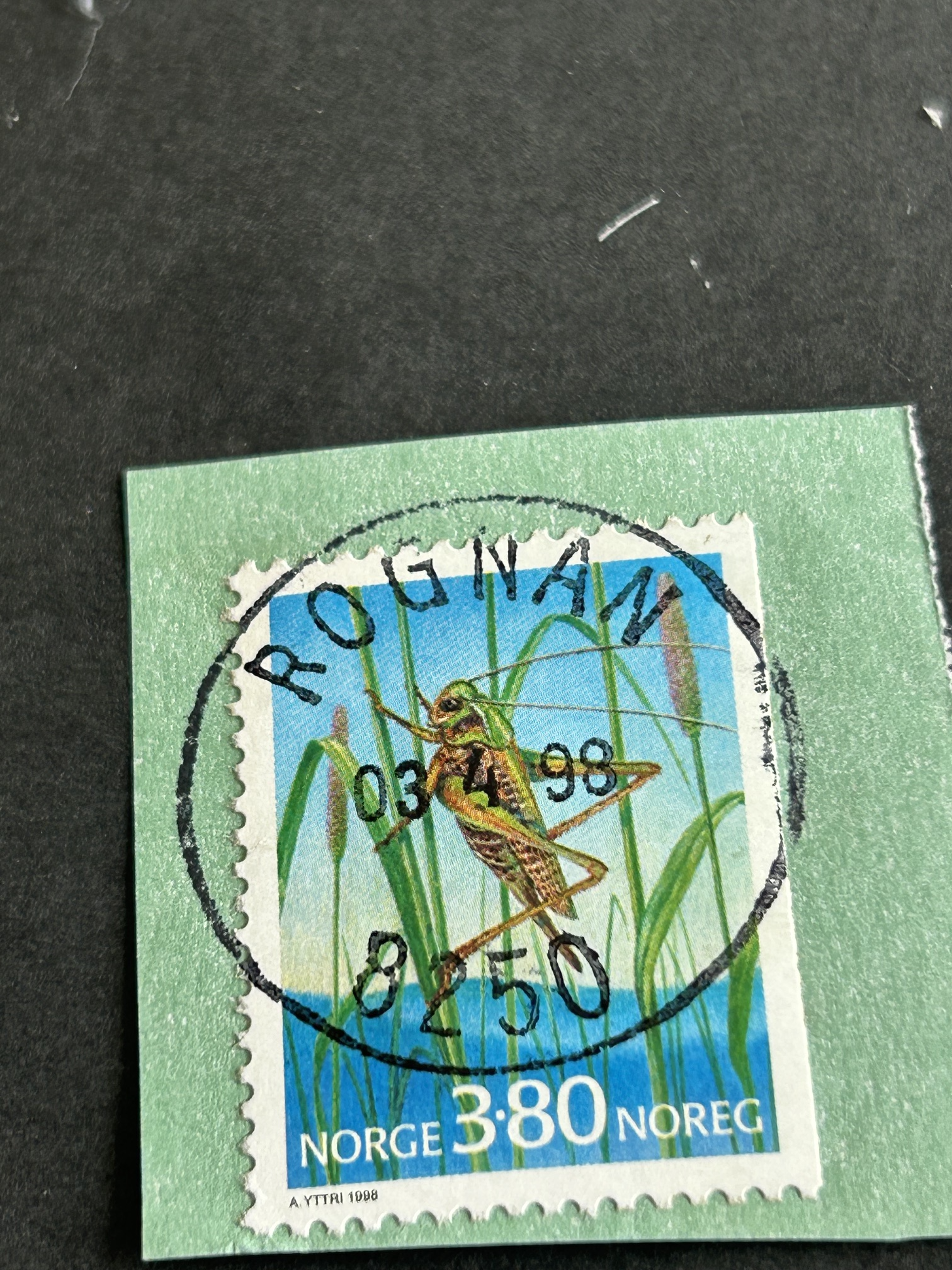 Rognan 1 03 4 98