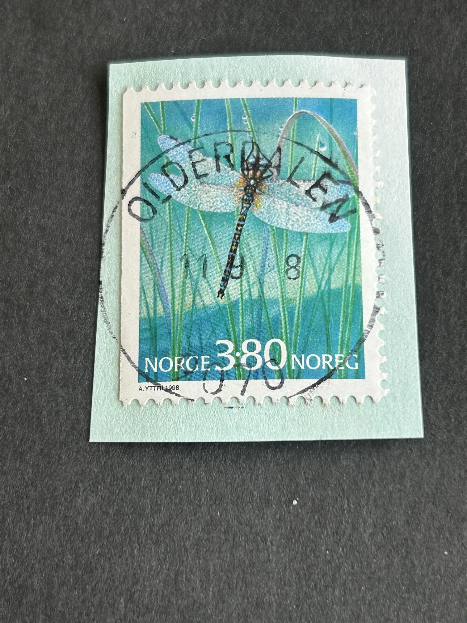 Olderdalen. 11 9 98