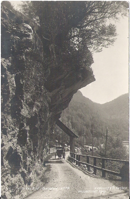 Parti fra Eide 1916. K. Knudsen 79