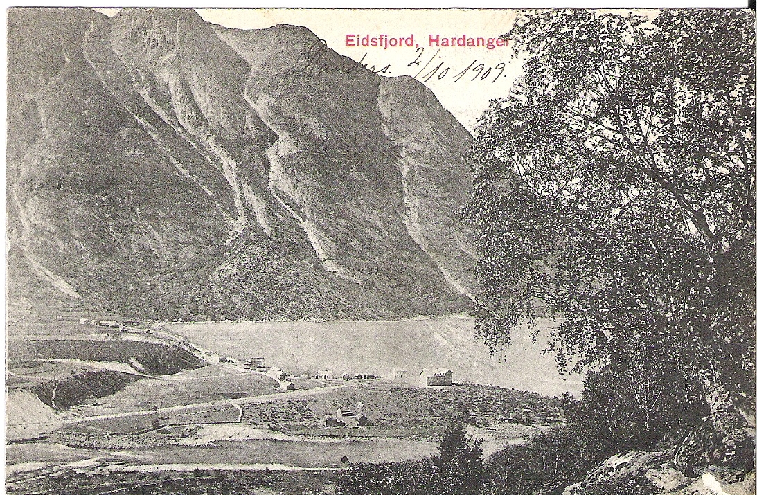 Eidsfjord 1909. Mittet 415a