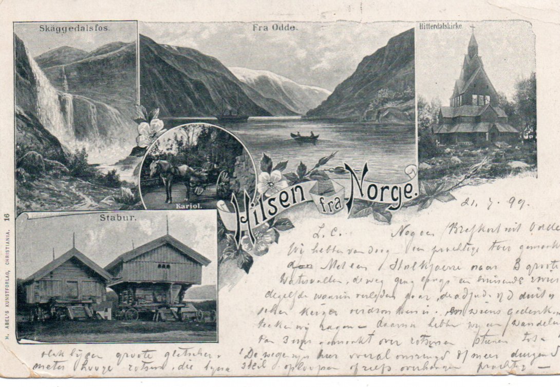 Hilsen fra Norge. Hordaland-motiv. Til NL 1899.  Porto 25,-kr uansett antall kort.