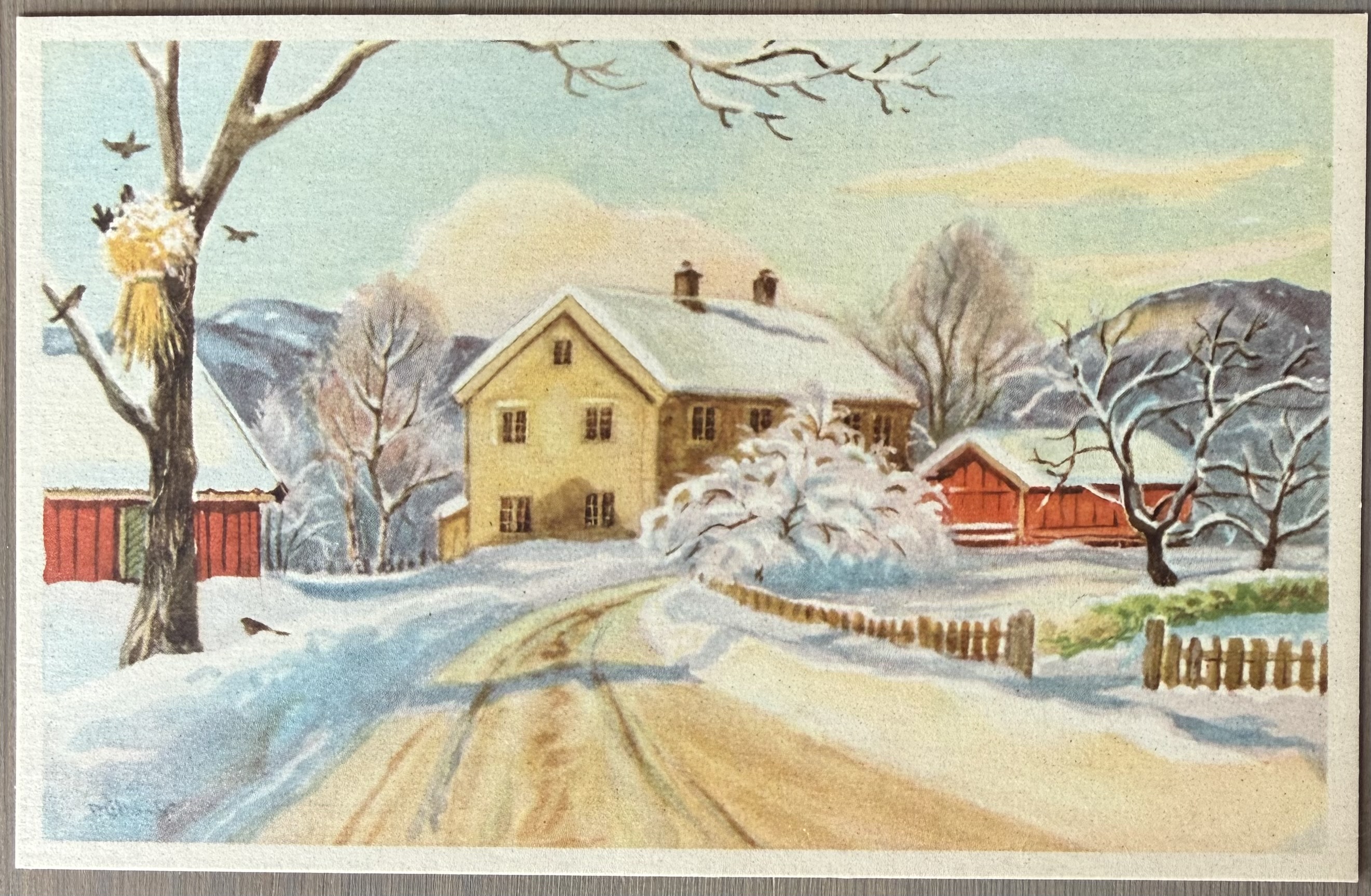 Stenberg, signert, ABELS Kunstf. 1010, ubrukt, uten tekst