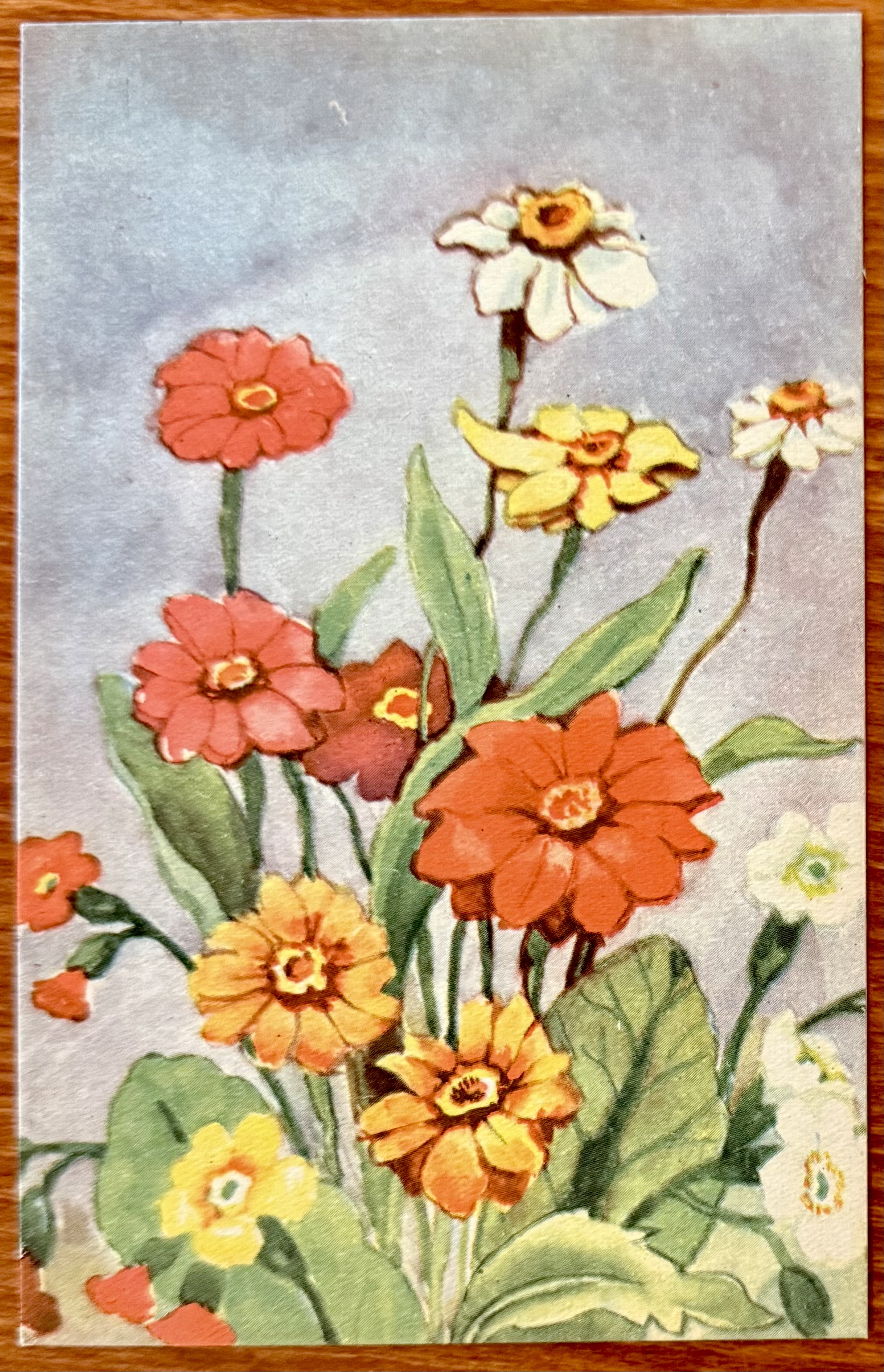 P. Lillo-Stenberg, J.H.K. 504/2,