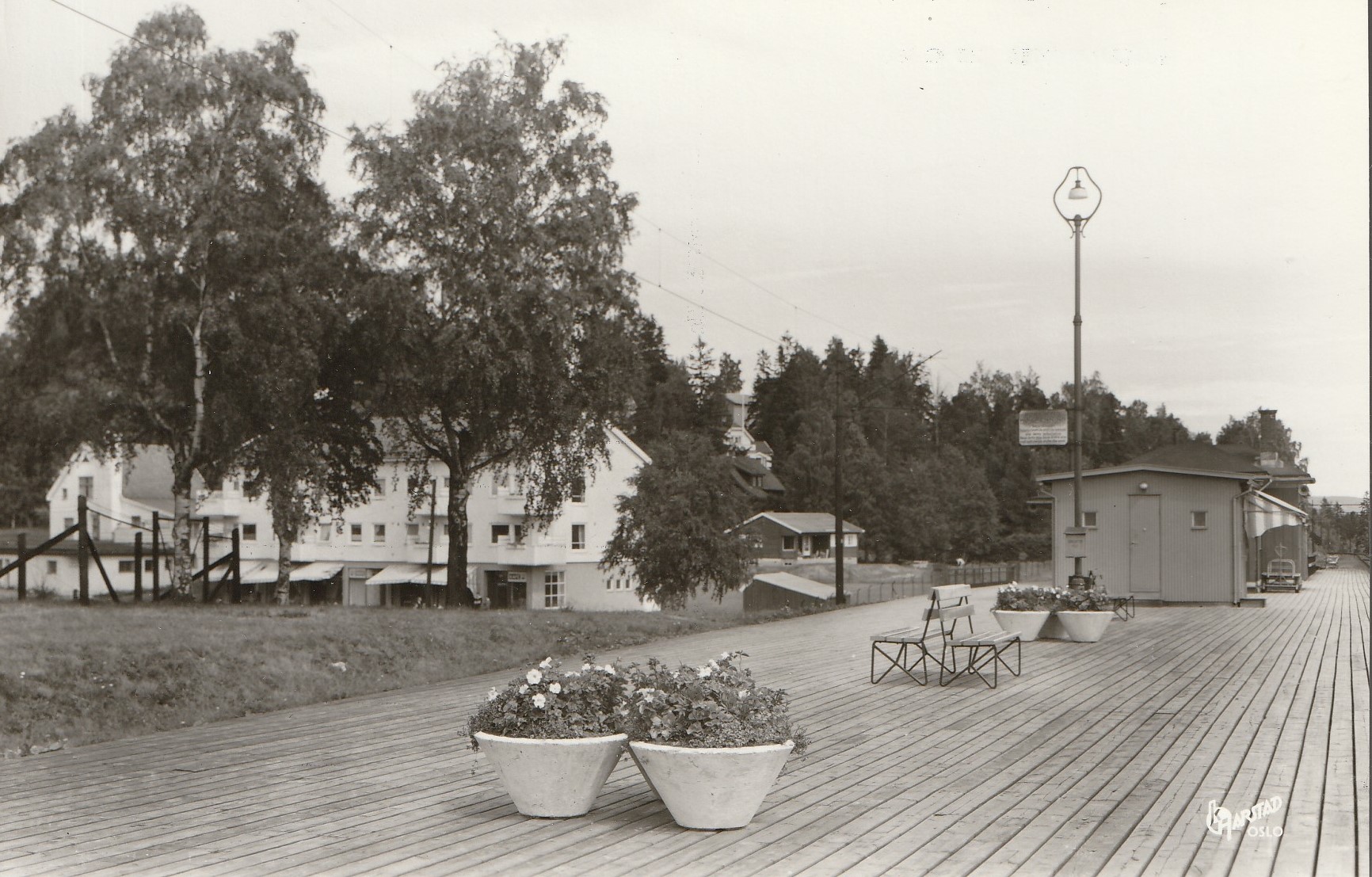 Fjellhammer.  Harstad 25 C 22  Små