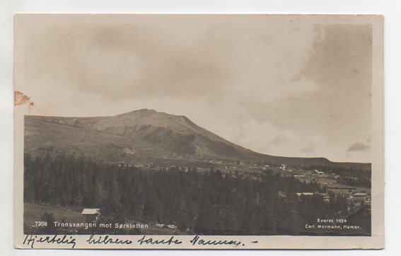 Alvdal Tronsvangen småformat brukt 1929