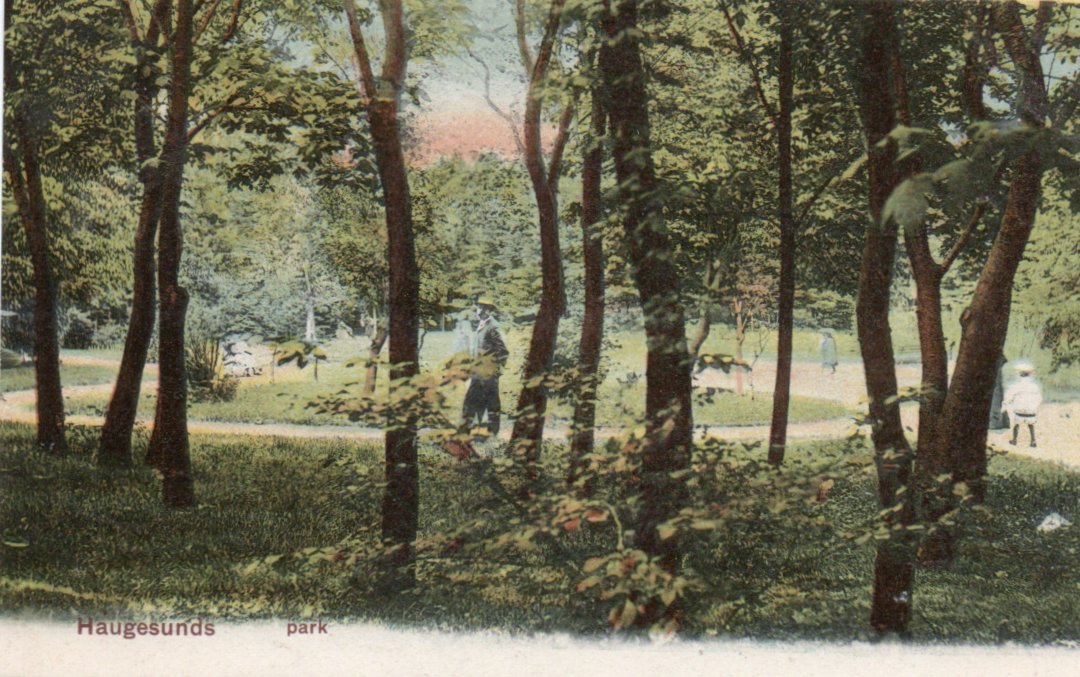 Haugesund park. Kolorert kort.  Porto alltid 25,-kr